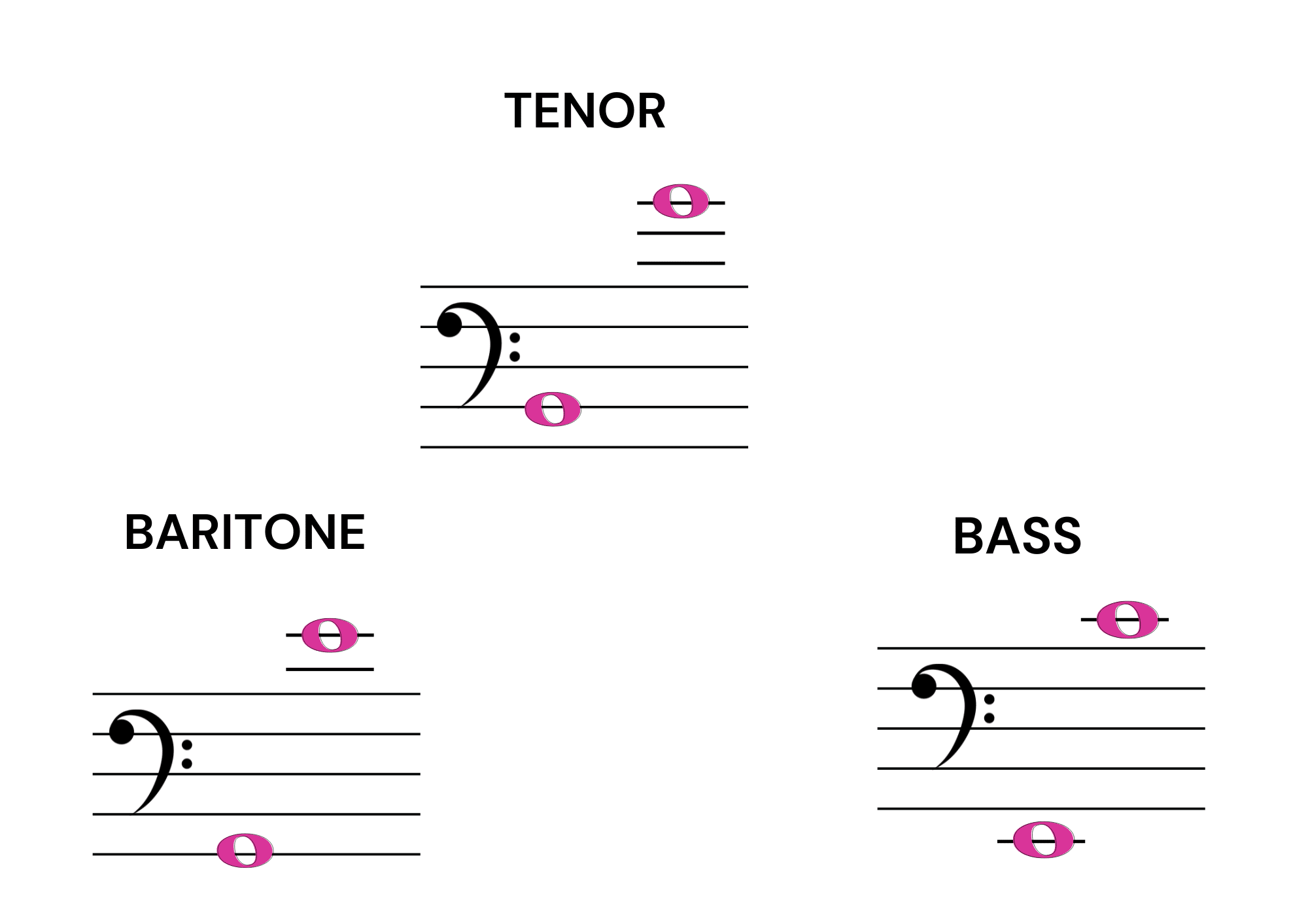 Find your voice types- Musicmaster.in