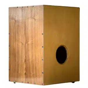cajon-musical-instrument-musicmaster