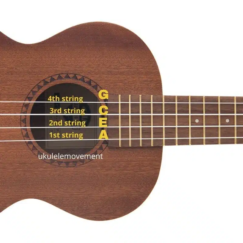 image-one-ukulele-strings