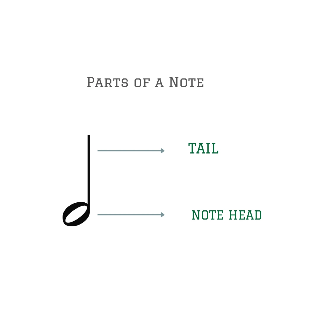 parts-of-musical-notes