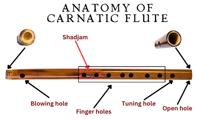 Anatomy of Carnatic Flute​