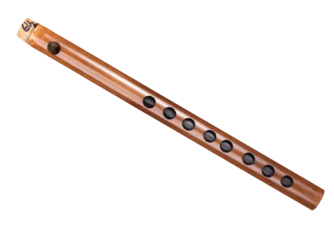 A#-carnaticflute
