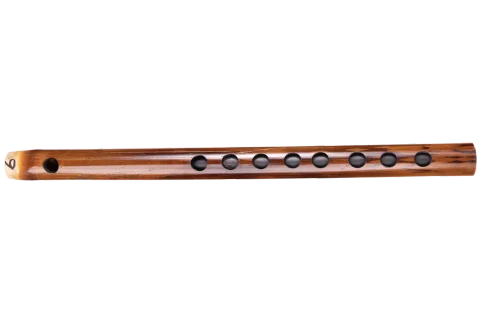 A-2-carnaticflute