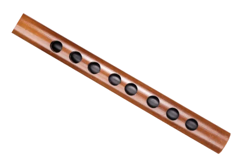 A#-3-carnaticflute