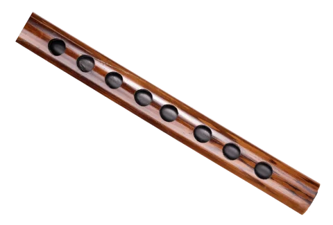 A-3-carnaticflute