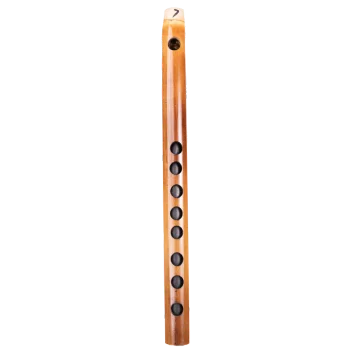 B-carnaticflute