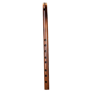 C# (1)-carnaticflute