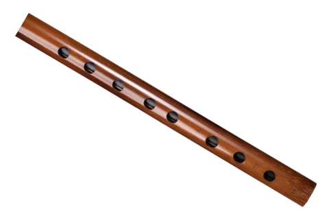 C#-3-carnaticflute