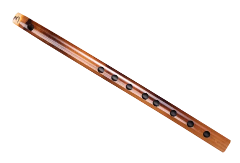 E (2)-carnaticflute