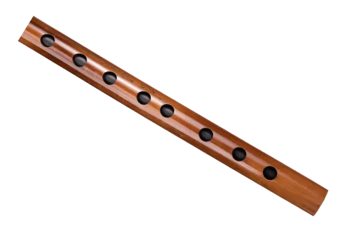 F#-3-carnaticflute