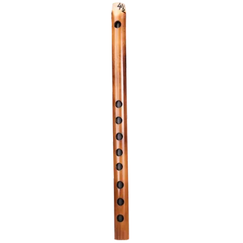F# (3)-carnaticflute