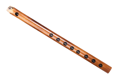 F#-carnaticflute