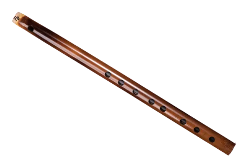 c#-carnaticflute